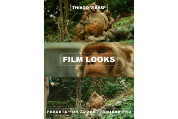 Download Red Camera Presets for Premiere Pro - Premium Resources