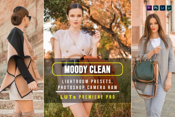 Download 10 Moody Clean Presets and Luts - Clean presets Collection
